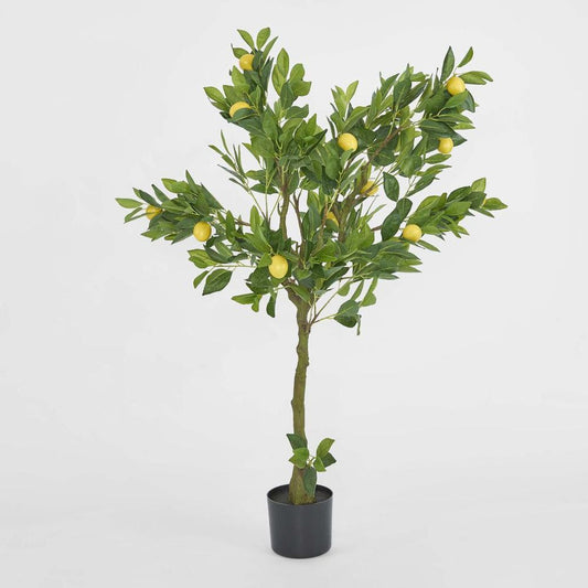 Lemon Tree Real Touch 120Cm