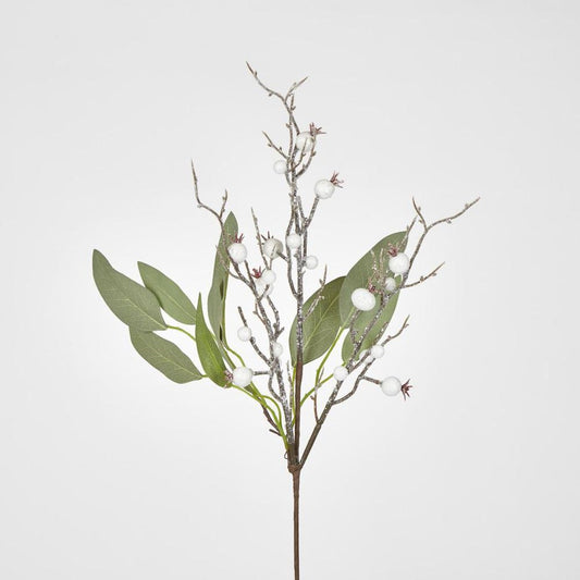 Leaf Spray Branch With Snow Berry