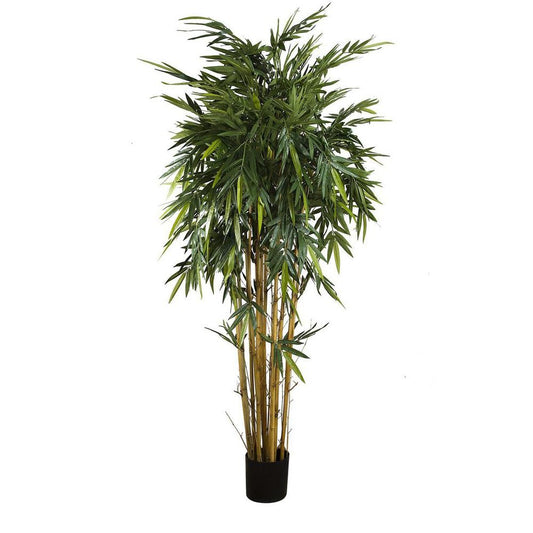 New Bamboo Tree 2.2M