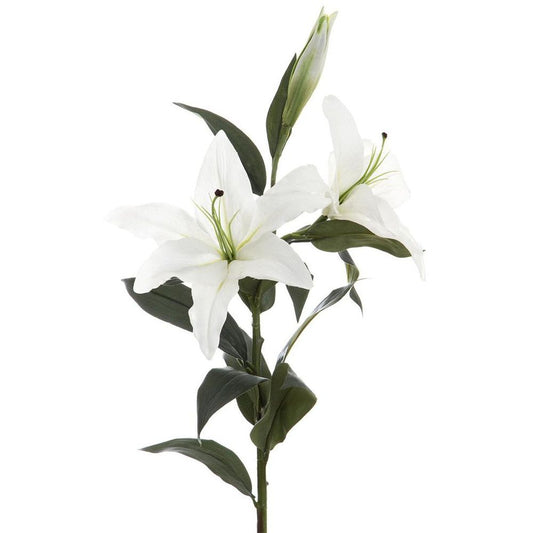 Casablanca Lily 90Cm White
