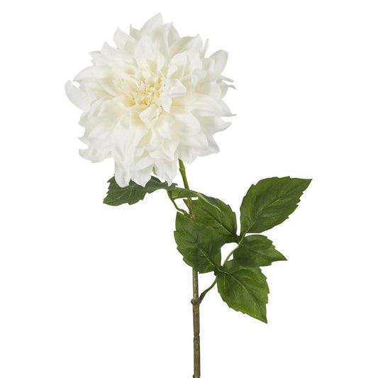 Dried Look Dahlia Stem Large 61Cm Cream