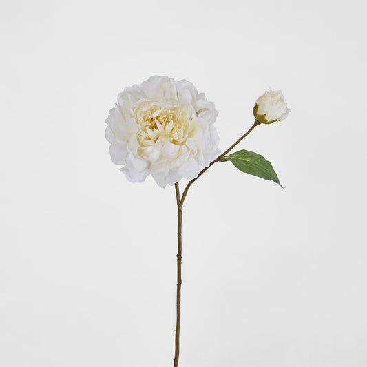 Peony Stem 61Cm White
