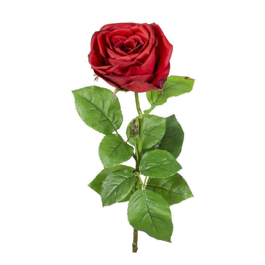 Cabbage Rose Real Touch 65Cm Red