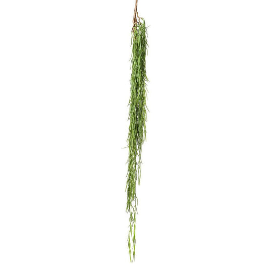 Herb Hanging Bush 90Cm