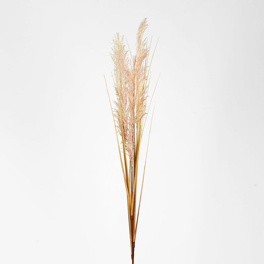 Cream White Pampas Spray