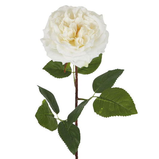 Dried Look English Rose Stem 50Cm Cream