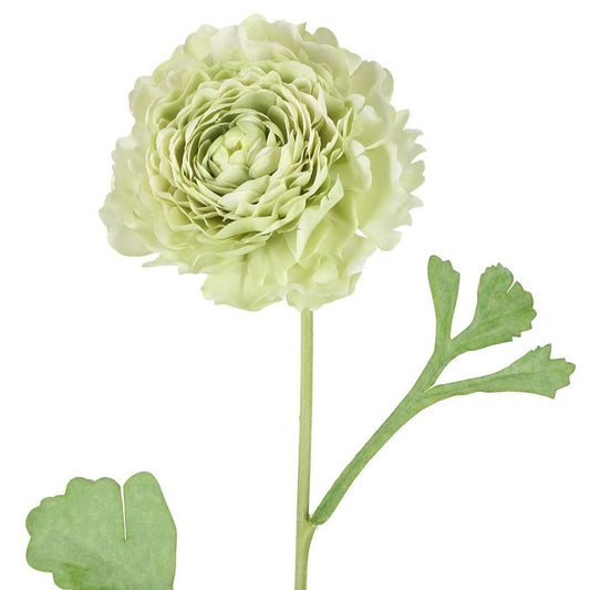 Ranunculus Stem 56Cm Green
