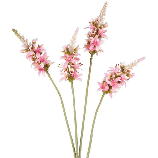 Salvia Nutans Sage Spray 84Cm Pink