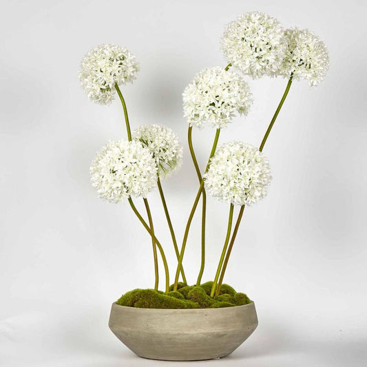 Cleo Arrangement White