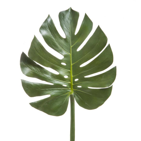 Split-Leaf Philodendron Monstera 94Cm