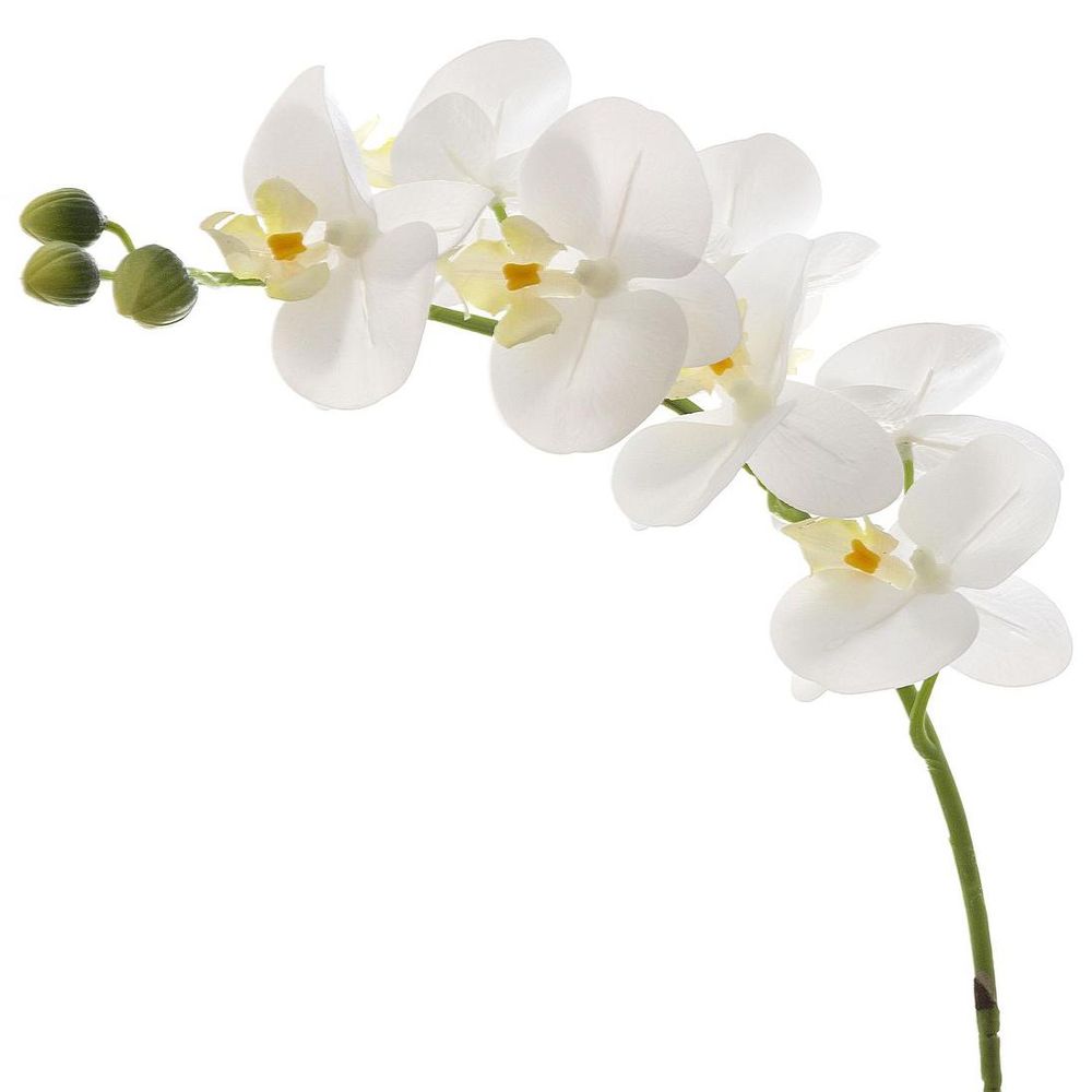 Orchid Phalaenopsis Real Touch 75cm White