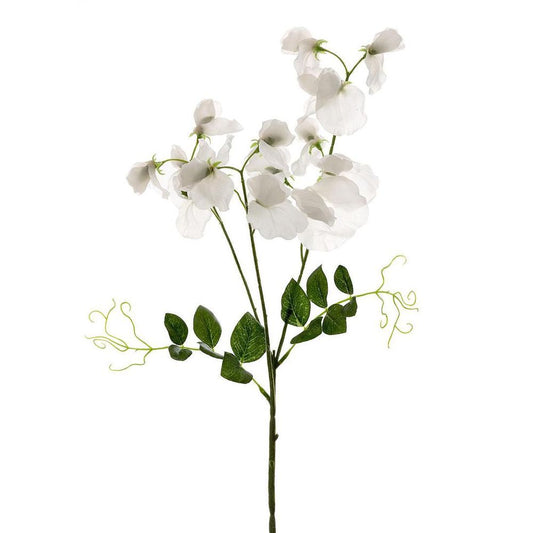 Sweetpea Spray 70Cm White