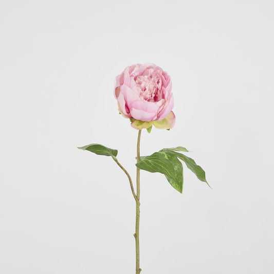 Peony Spray 60Cm Pink