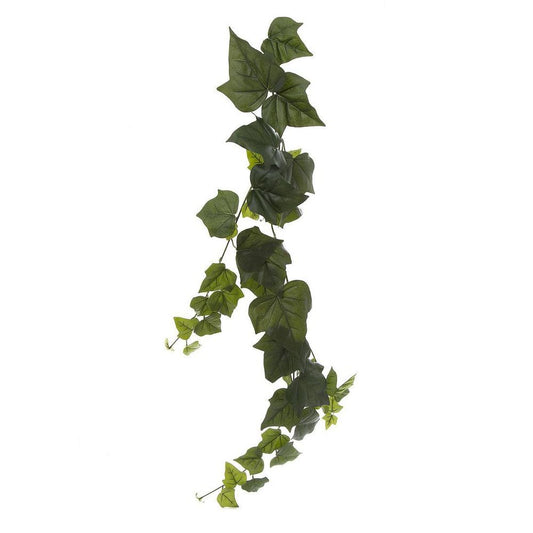 Giant Ivy Vine 1.15M