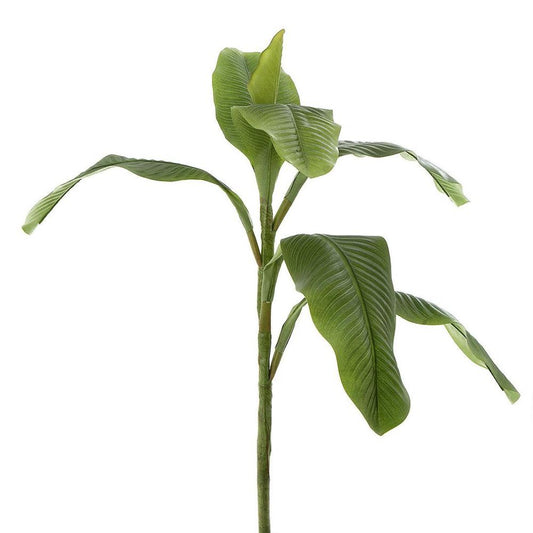 Leaf Banana Spray 95Cm