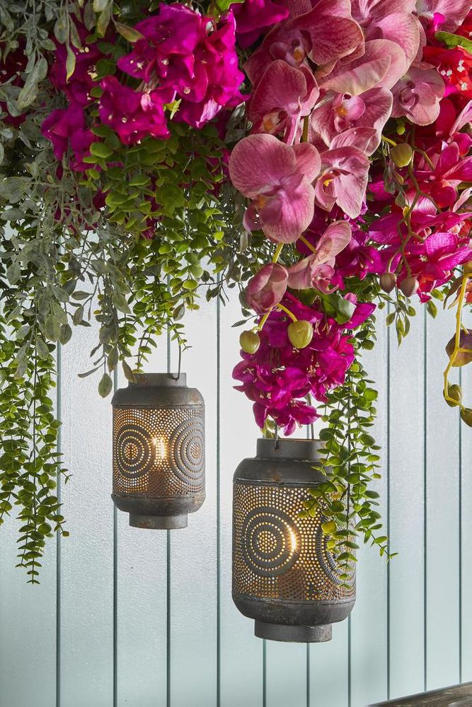 蘭 胡蝶蘭 スプレー 74cm ピンク