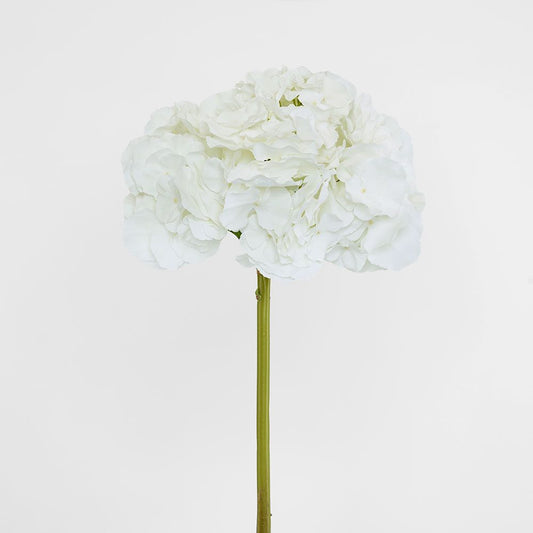 Hydrangea 50cm Snow White