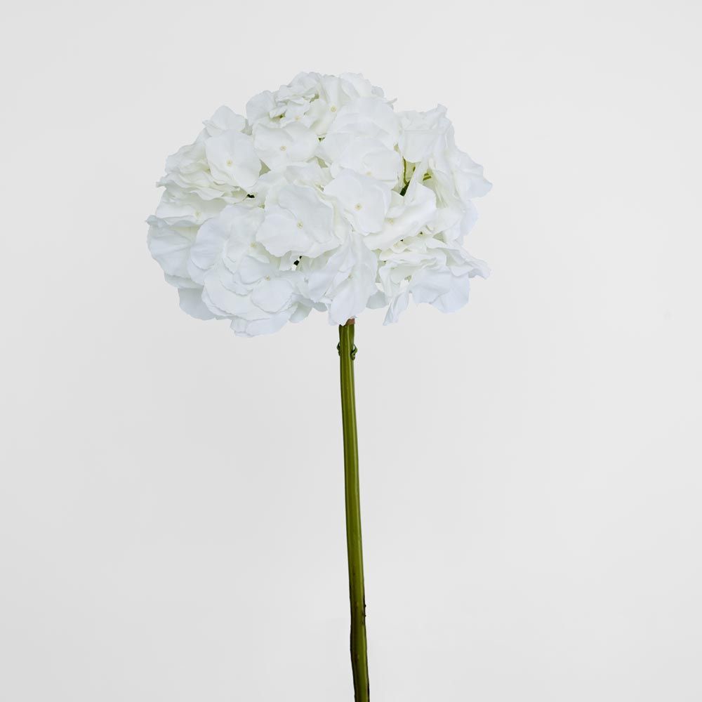 Hydrangea 50cm Snow White