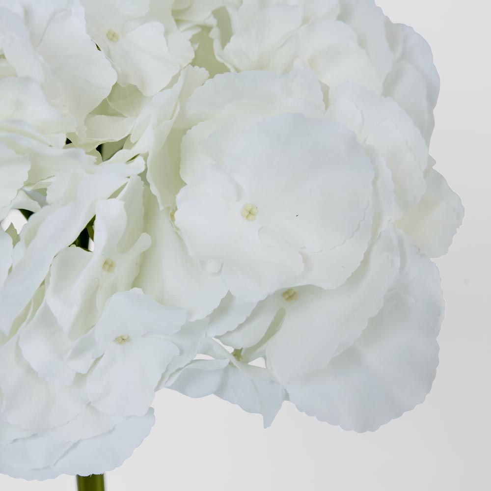 Hydrangea 50cm Snow White