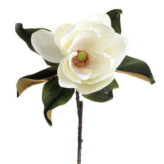 Magnolia 77Cm White