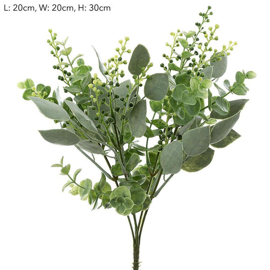 Eucalyptus Berry Bush 30Cm
