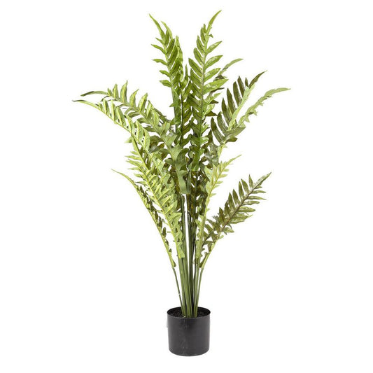 Fern Hares Foot 1.07M