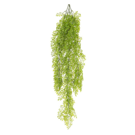 Fern Hanging 80Cm