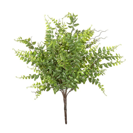 Fern Bush 45Cm