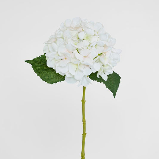 Hydrangea Stem 62cm White