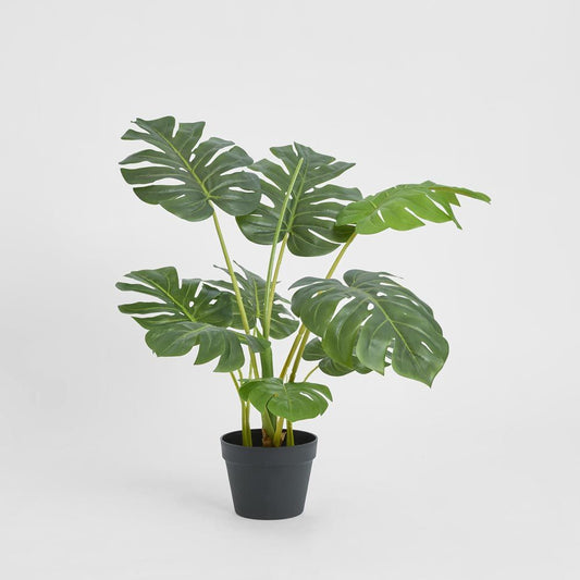 Monstera Tree Real Touch 85Cm