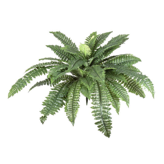 Fern Boston 80Cm