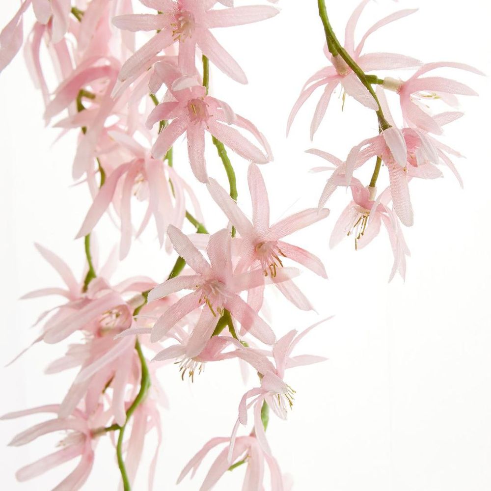 オーキッドスパイダーハンギング 1.1m ピンク