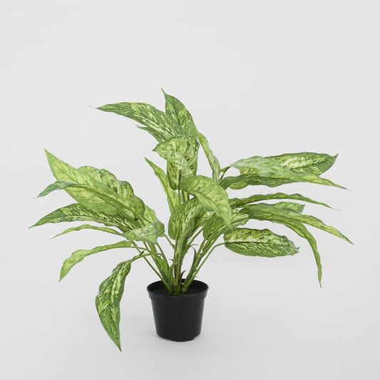 Dracaena Plant Real Touch In Pot 39Cm