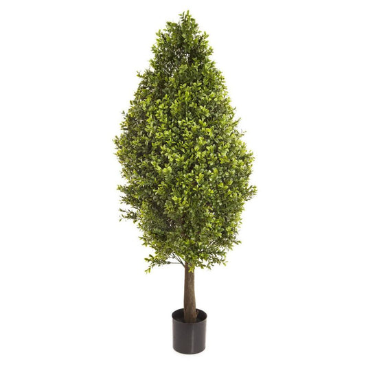 Boxwood Cone 90Cm