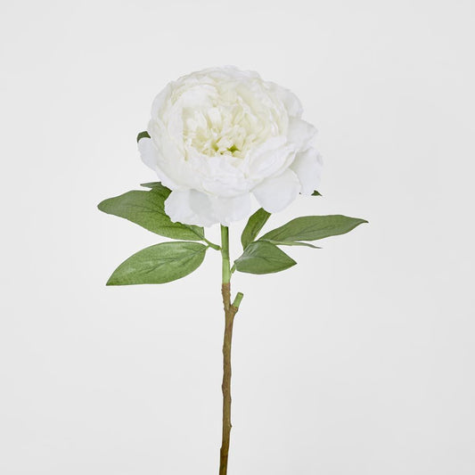 Peony Queen 70Cm White