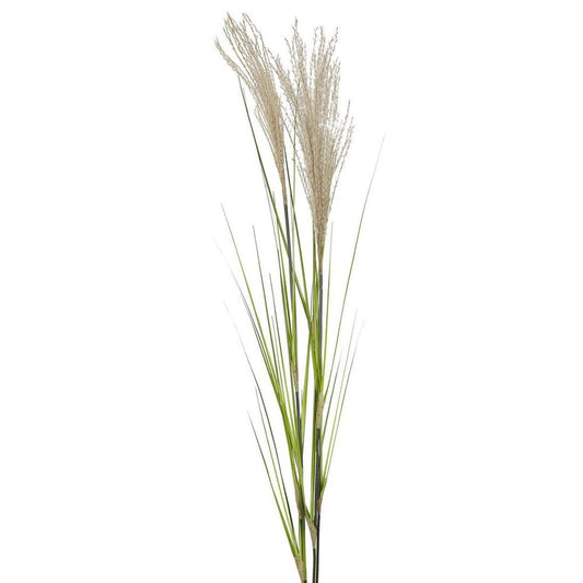 Pampas Grass Spray 1.1M