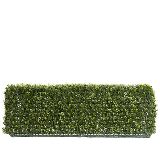 Boxwood Hedge 25X95Cm