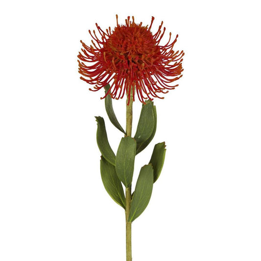 Pincushion Flower Stem 58Cm Red