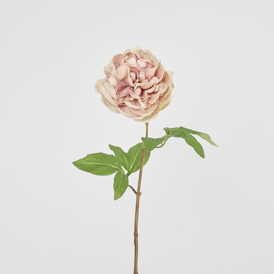 Dried Look Peony Stem 61Cm Blush