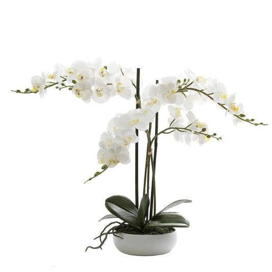 Phalaenopsis Real Touch In White Round Pot 45Cm