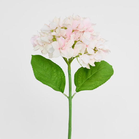 アジサイ ステム ソフトタッチ 50cm ピンク