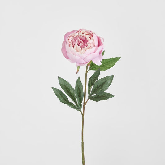 Peony Half Open 70Cm Pink