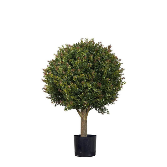 Red Day Leaf Ball Tree 85Cm