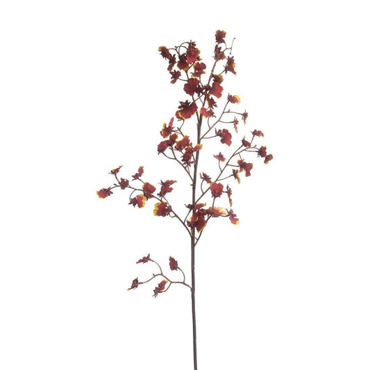 Dancing Orchid 93Cm Burgundy