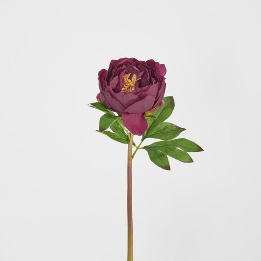 Peony Flower Real Touch Stem Dark Plum Large