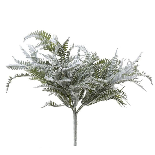 Fern Lamb Bush 45Cm