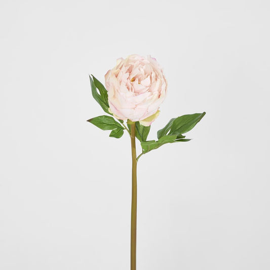 Peony Flower Real Touch Stem Pink Large