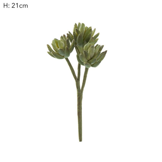 Agave Stem 20Cm Green