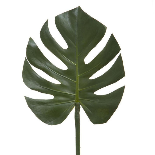 Split-Leaf Philodendron Stem 75Cm Green