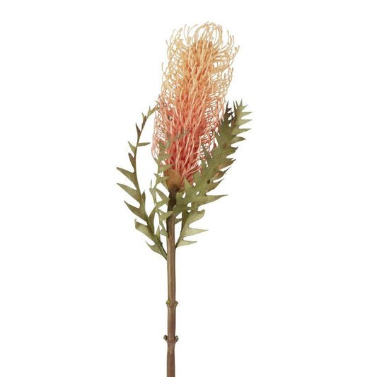 Dried Look Banksia Stem 75Cm Peach